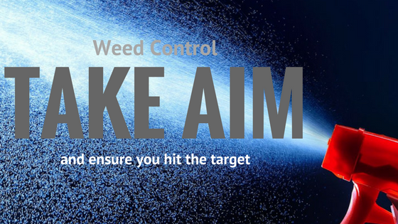 Weed Control | take aim and ensure you hit the target